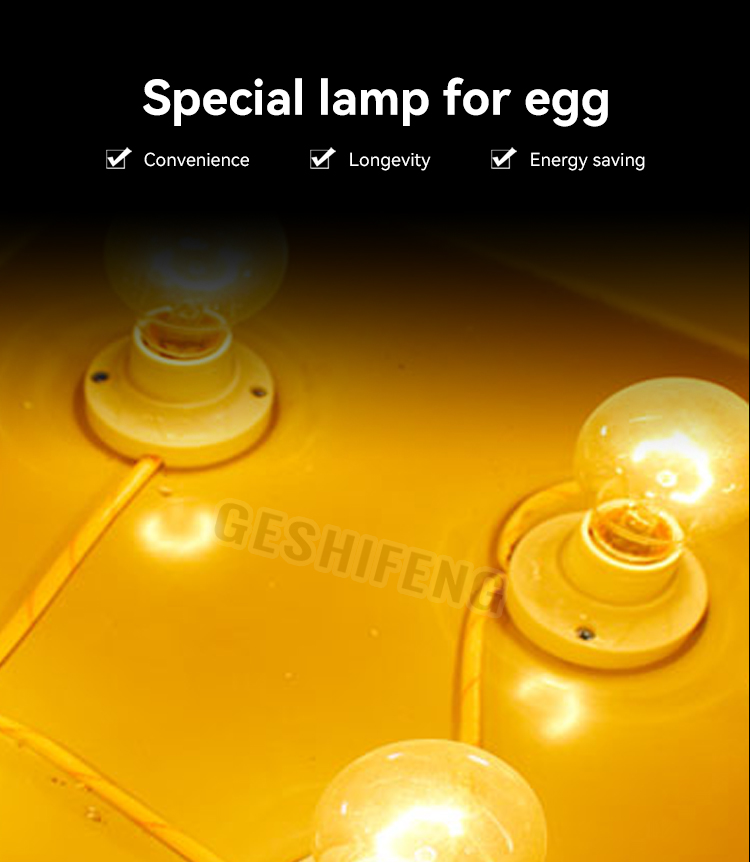 Egg Illuminator(照蛋箱) 