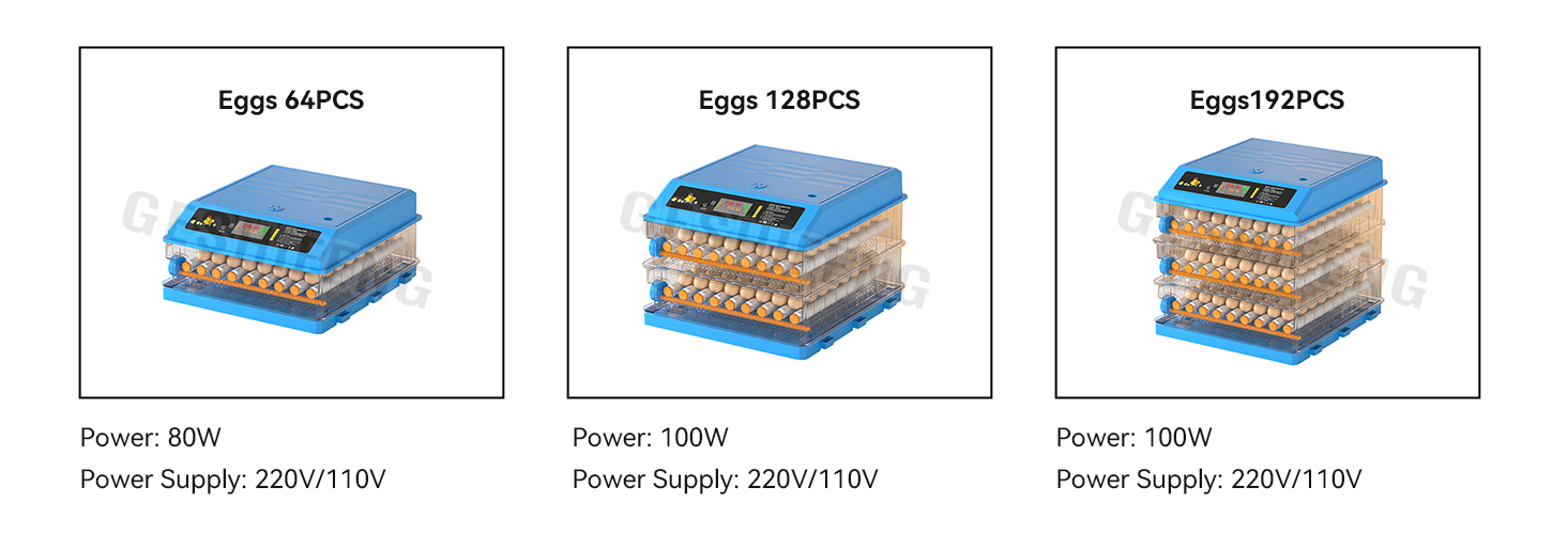 Egg Incubator(孵蛋器)
