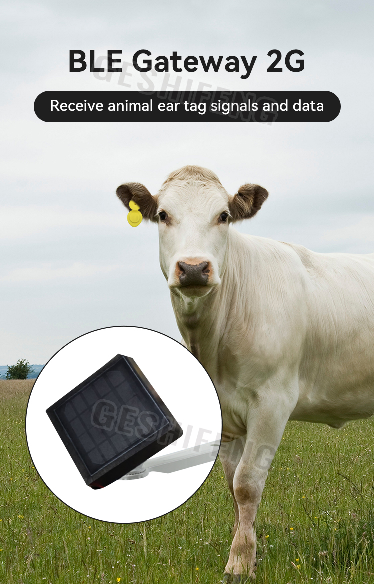 Bluetooth Gateway 2G(蓝牙网关)