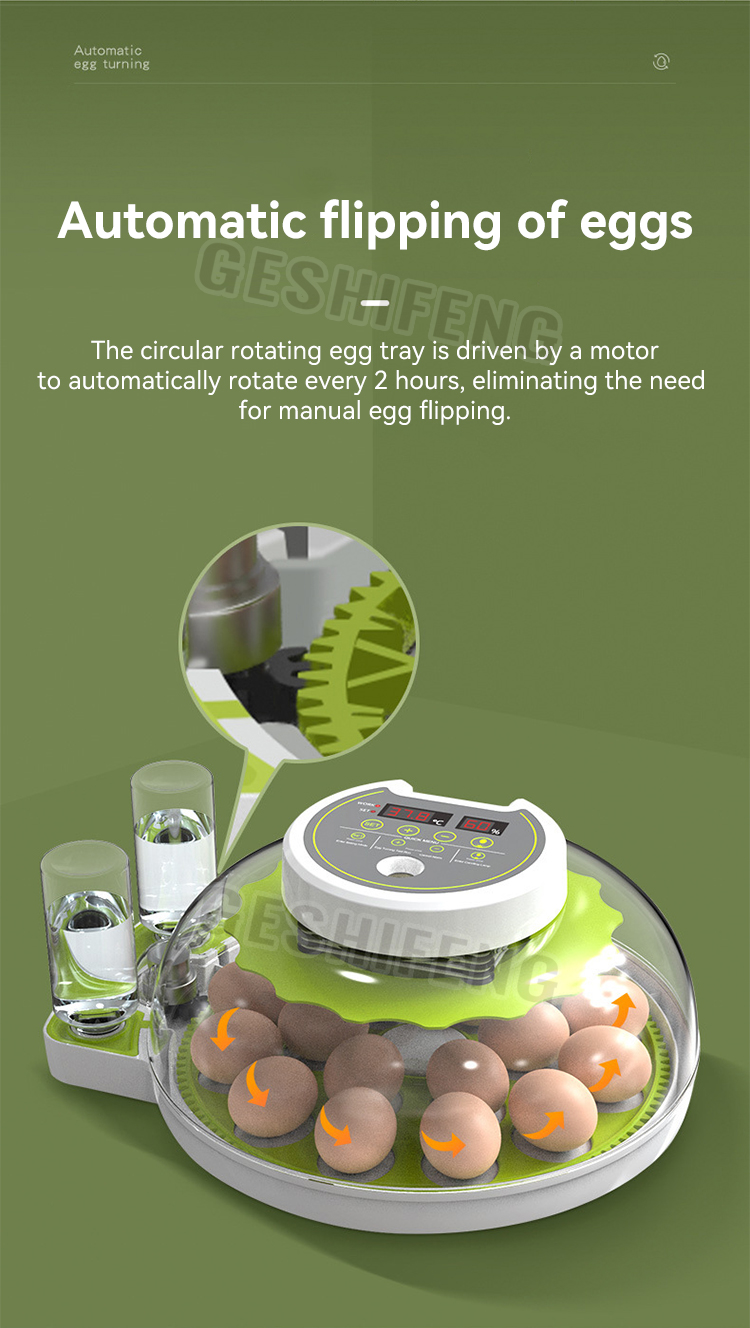 Egg Incubator(圆形孵蛋器)