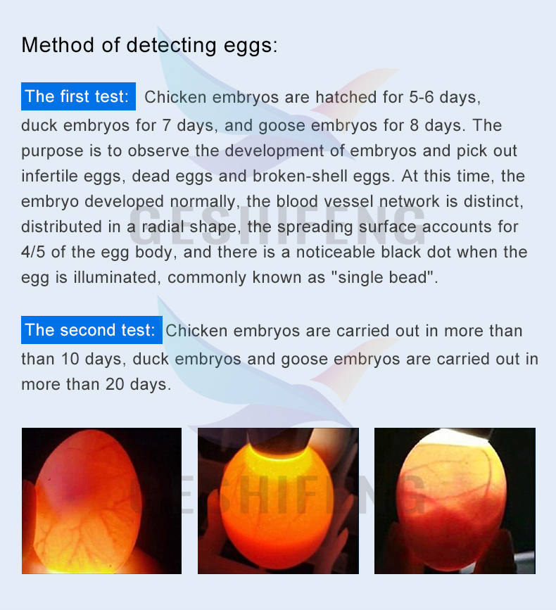 Egg Lighter(照蛋器)