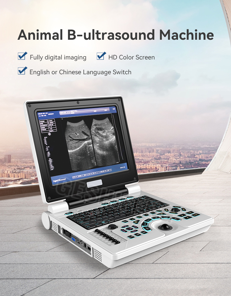 Animal B-ultrasound machine(动物B超机)